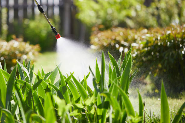 24/7 Emergency Mosquito Control experts in Gordon, NE